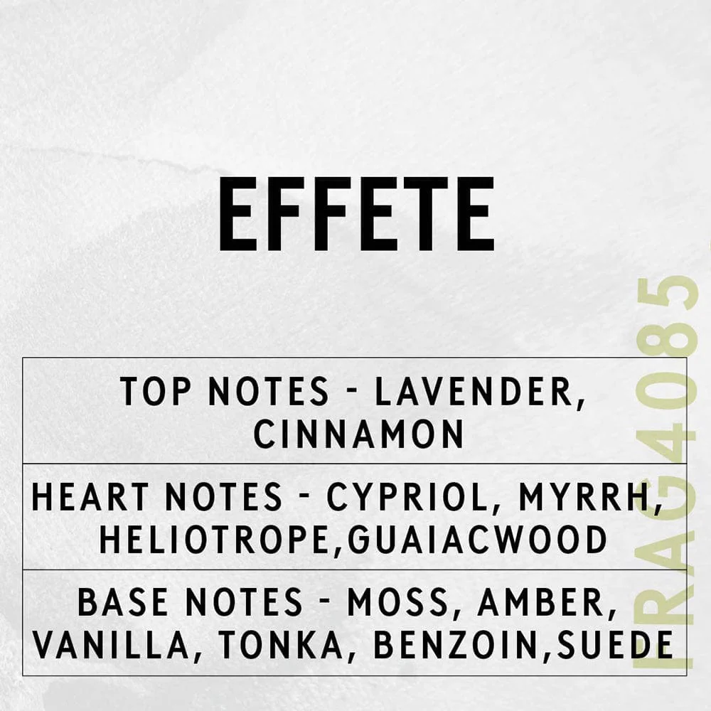 Hand & Body Lotion - Effete - Image 2