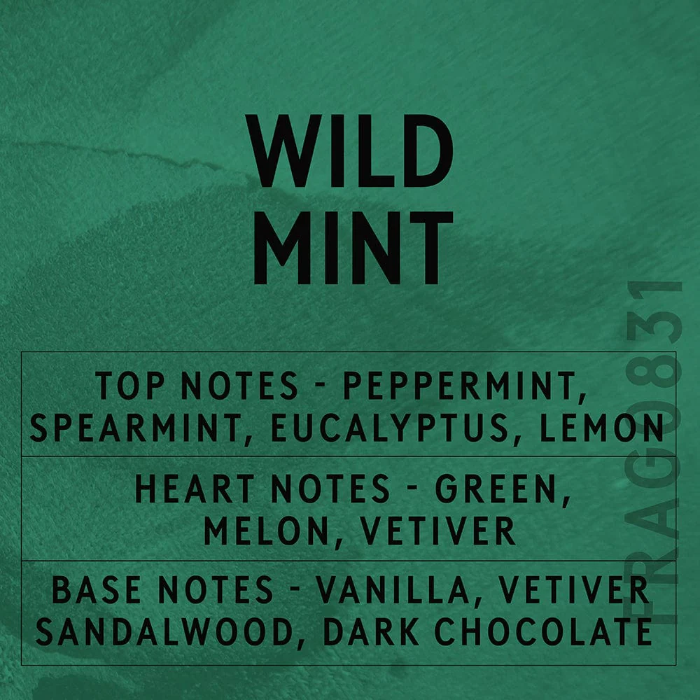 Wild Mint Fragrance Oil - Image 2
